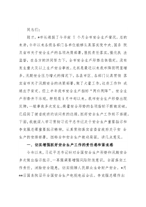 在市安委会第三次全体（扩大）会议上的讲话