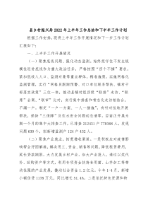 县乡村振兴局2022年上半年工作总结和下半年工作计划