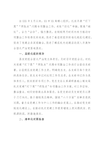 局推动机关党建“灯下黑”“两张皮”专项整治工作汇报