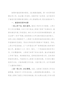 X镇关于基层负担相关问题的情况报告