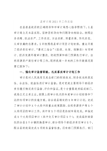 县审计局2021年工作总结