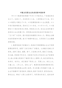 市重点民营企业先进党委申报材料