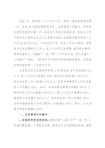 2022年县政府工作要点