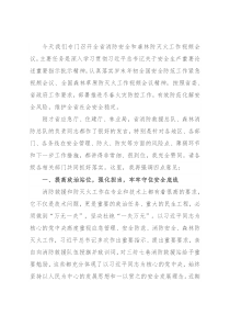 副省长在全省消防安全和森林防灭火工作视频会议上的讲话