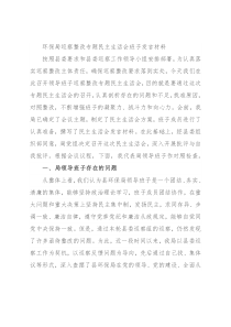 环保局巡察整改专题民主生活会班子发言材料