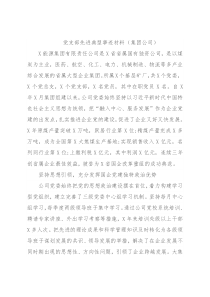 党支部先进典型事迹材料（集团公司）