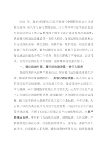 2022年示范区党工委书记推进法治建设第一责任人述法报告