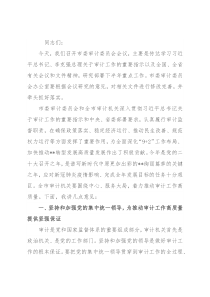 市委书记在市委审计委员会第二次会议上的讲话