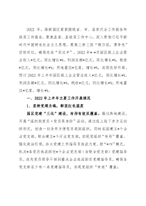 县高新园区年中工作汇报材料