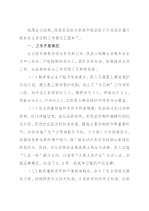 党委和政府领导班子及其成员履行粮食安全责任制规定情况的汇报
