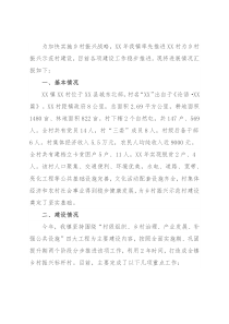 镇乡村振兴示范点工作总结