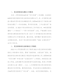 公司2022年党支部标准化建设工作总结