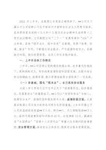 集团公司2022年上半年工作总结