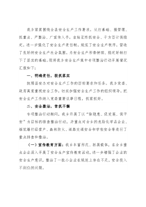 乡政府开展安全生产工作情况的报告