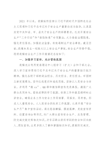 镇2021年安全生产工作总结