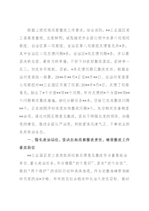 园区党工委关于巡视巡察反馈问题整改情况的报告