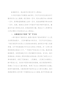 县委副书记、政法委书记党史学习心得体会