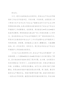在全市安全生产和生态环境保护工作电视电话会议上的讲话