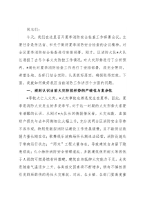 在全区夏季消防安全检查工作会议上的讲话