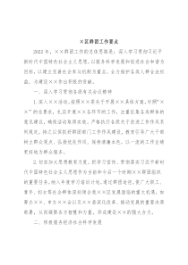 ×区群团工作要点