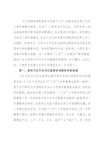 市委书记到某县调研督导乡村振兴工作座谈会上的讲话