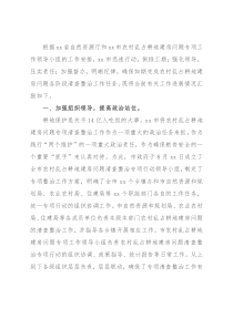 X市农村乱占耕地建房问题专项整治工作开展情况汇报