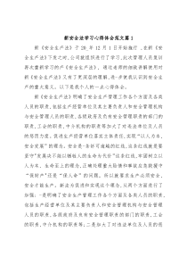 (3篇)新安全法学习心得体会范文