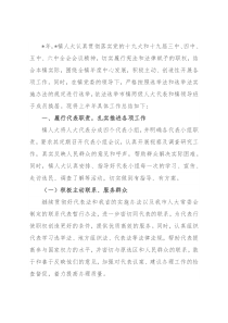 镇2022年上半年人大工作汇报