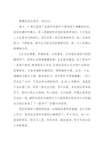 新当选区委书记任职表态发言