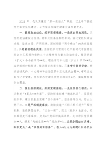 市直部门一把手2022年度抓基层党建工作述职报告