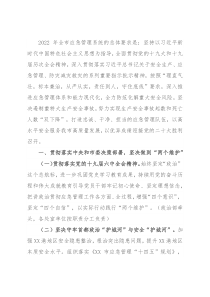 市应急管理局2022年工作要点