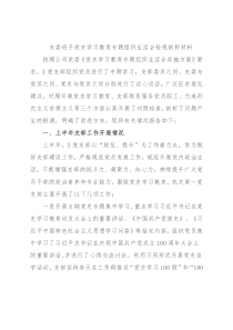 支委班子党史学习教育专题组织生活会检视剖析材料