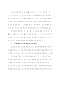 镇沿黄特色经济带建设的调研报告