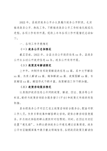 2022年政务公开工作总结