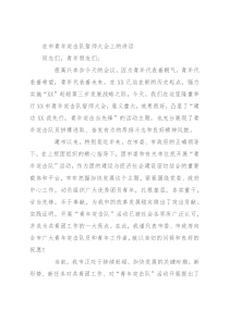 在市青年突击队誓师大会上的讲话