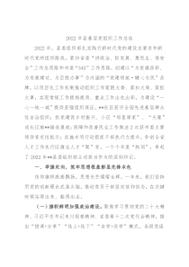 2022年县基层党组织工作总结