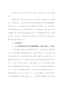 区政府办公室关于开展“两个维护”自查自纠工作的自查报告
