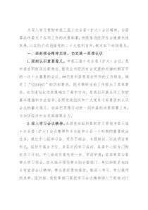 关于贯彻落实市委三届十次全委扩大会议精神的安排意见