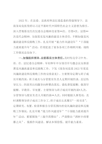 2022年度党风廉政建设和反腐败工作总结