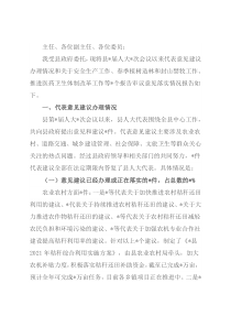 政府办主任关于人民代表大会第一次会议以来代表意见建议办理和三个报告审议意见落实情况的报告
