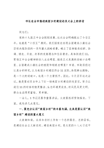 在全市推进美丽乡村建设动员大会上的讲话