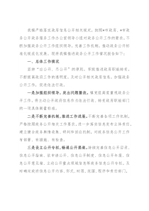 镇人民政府2022年政务公开工作汇报