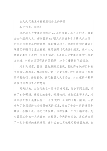 在人大代表集中视察座谈会上的讲话