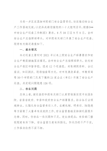 关于市级部门安全生产专项督查报告