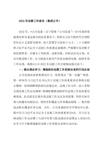 2022年巡察工作报告（集团公司）