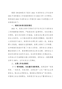 局2022年消防安全工作总结和2023年消防重点工作安排的报告