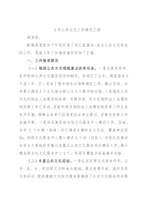 X科公共文化工作情况汇报
