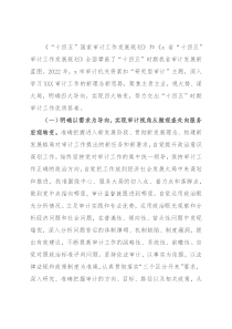 市审计局2022年工作计划