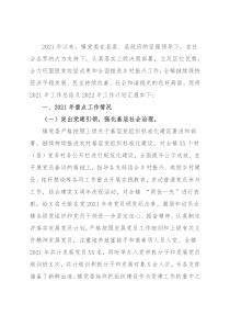 镇2021年度工作总结及2022年度工作计划