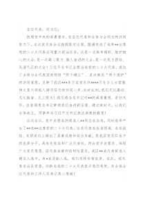 党委书记在中国共产党全区代表会议全体会议上的讲话